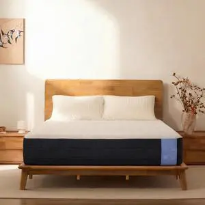 Hako G1 Queen Solid Wood Platform Bed Frame & 10-Inch Cooling Gel Memory Foam Mattress Set, Natural Oak, 1500 lbs, Charging Storage Headboard, Bamboo Cover, Medium Firm, 10-Year Warranty Hako G1 Queen Solid Wood Platform Bed Frame & 10-Inch Cooling Gel Memory Foam Mattress Set, Natural Oak, 1500 lbs, Charging Storage Headboard, Bamboo Cover, Medium Firm, 10-Year Warranty