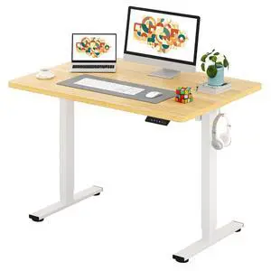One-Piece Electric Standing Desk, Seamless 48 x 30'' Ergonomic Height Adjustable Sit Stand Desk with Memory Presets for Home Office Computer Workstation, White Frame/Natural Top One-Piece Electric Standing Desk, Seamless 48 x 30'' Ergonomic Height Adjustable Sit Stand Desk with Memory Presets for Home Office Computer Workstation, White Frame/Natural Top