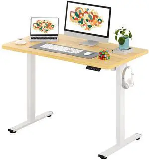 One-Piece Electric Standing Desk, Seamless 48 x 24'' Ergonomic Height Adjustable Sit Stand Desk with Memory Presets for Home Office Computer Workstation, White Frame/Natural Top One-Piece Electric Standing Desk, Seamless 48 x 24'' Ergonomic Height Adjustable Sit Stand Desk with Memory Presets for Home Office Computer Workstation, White Frame/Natural Top