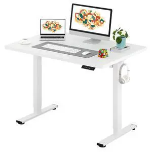 One-Piece Electric Standing Desk, Seamless 48 x 30'' Ergonomic Height Adjustable Sit Stand Desk with Memory Presets for Home Office Computer Workstation, White Frame/White Top One-Piece Electric Standing Desk, Seamless 48 x 30'' Ergonomic Height Adjustable Sit Stand Desk with Memory Presets for Home Office Computer Workstation, White Frame/White Top