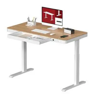 Standing Desk with Drawer, Electric Height Adjustable Home Office Desk with Storage & USB Ports, 48 inch Bamboo Texture Tabletop/White Frame Standing Desk with Drawer, Electric Height Adjustable Home Office Desk with Storage & USB Ports, 48 inch Bamboo Texture Tabletop/White Frame