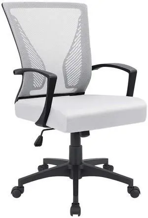 Office Chair Ergonomic Computer Desk Mesh Chair Mid Back Swivel Lumbar Support with Armrest (1, White) Office Chair Ergonomic Computer Desk Mesh Chair Mid Back Swivel Lumbar Support with Armrest (1, White)