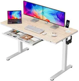 Electric Standing Desk with Drawers, Adjustable Height Sit Stand Desk with One-Piece Desktop & USB Charging Port for Home Office Computer Desks (Bamboo Desktop, 48 Inch) Electric Standing Desk with Drawers, Adjustable Height Sit Stand Desk with One-Piece Desktop & USB Charging Port for Home Office Computer Desks (Bamboo Desktop, 48 Inch)