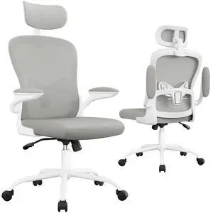 Ergonomic Office Chair Executive High Back Computer Desk Chair with 3D Adjustable Headrest, Adjustable Lumbar Support Armrests for Home Office (Light Gray) Ergonomic Office Chair Executive High Back Computer Desk Chair with 3D Adjustable Headrest, Adjustable Lumbar Support Armrests for Home Office (Light Gray)
