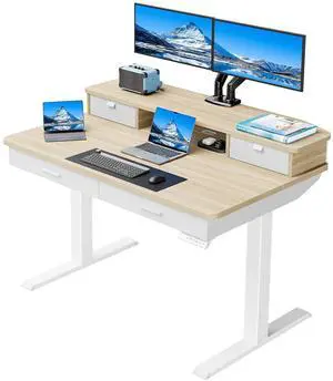 48 x 30 inch Electric Standing Desk with 2 Wood Drawers, Adjustable Height Sit Stand Desk for Home Office, Ergonomic Stand up Desk with 4 Memory Presets, 176 lbs Capacity, Natural Top 48 x 30 inch Electric Standing Desk with 2 Wood Drawers, Adjustable Height Sit Stand Desk for Home Office, Ergonomic Stand up Desk with 4 Memory Presets, 176 lbs Capacity, Natural Top
