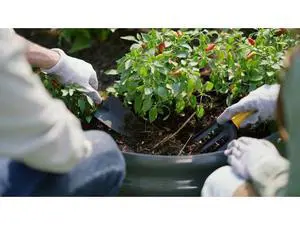 KING BIRD Raised Garden Bed with Cover Galvanized Oval Planter Garden Box Outdoor for Gardening, Vegetables, Flowers 47.2x35.4x11.8 in, Clear KING BIRD Raised Garden Bed with Cover Galvanized Oval Planter Garden Box Outdoor for Gardening, Vegetables, Flowers 47.2x35.4x11.8 in, Clear