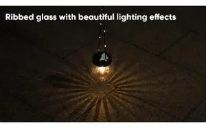 PARTPHONER Solar Lights Outdoor Waterproof 12-Pack, Solar Powered Hanging Lantern Ribbed Glass Hanging Globes for Yard Decor Christmas Decoration, Shepherd Hook, Garden Tree Ornaments, Clear PARTPHONER Solar Lights Outdoor Waterproof 12-Pack, Solar Powered Hanging Lantern Ribbed Glass Hanging Globes for Yard Decor Christmas Decoration, Shepherd Hook, Garden Tree Ornaments, Clear
