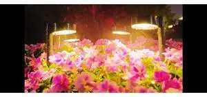 ELECLINK Solar Pathway Lights Outdoor, 12 Pack Waterproof Path Light with Bigger LED Lens, Brighter Up to 12 Hrs Outdoor Solar Light for Walkway Driveway Yard Garden Patio Garden ELECLINK Solar Pathway Lights Outdoor, 12 Pack Waterproof Path Light with Bigger LED Lens, Brighter Up to 12 Hrs Outdoor Solar Light for Walkway Driveway Yard Garden Patio Garden