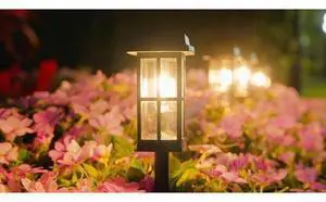 Ahaorigin 8 Pack Solar Pathway Lights Outdoor, 2 Ligting Mode Waterproof Solar Lights Outdoor, Brighter Up to 15 Hrs Sturdy Metal Poles Outdoor Path Light for Yard Walkway Driveway Sidewalk Garden Ahaorigin 8 Pack Solar Pathway Lights Outdoor, 2 Ligting Mode Waterproof Solar Lights Outdoor, Brighter Up to 15 Hrs Sturdy Metal Poles Outdoor Path Light for Yard Walkway Driveway Sidewalk Garden