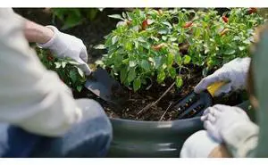 KING BIRD Raised Garden Bed with Cover Galvanized Oval Planter Garden Box 94.5x47.2x11.8 in, Clear, Outdoor for Gardening, Vegetables, Flowers KING BIRD Raised Garden Bed with Cover Galvanized Oval Planter Garden Box 94.5x47.2x11.8 in, Clear, Outdoor for Gardening, Vegetables, Flowers
