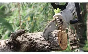 DEKOPRO 8 Amp 10" Electric Pole Saw for Tree Trimming,Corded Electric Chainsaw,Power Chain Saw for Tree Trimming Wood Cutting DEKOPRO 8 Amp 10" Electric Pole Saw for Tree Trimming,Corded Electric Chainsaw,Power Chain Saw for Tree Trimming Wood Cutting