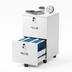 2 Drawer File Cabinet with Lock, Wood Grain White File Cabinets for Letter Size File Folders with Tabs, Mobile Under Desk Filing Cabinets for Home Office, Rolling Filing Cabinet Printer Stand 2 Drawer File Cabinet with Lock, Wood Grain White File Cabinets for Letter Size File Folders with Tabs, Mobile Under Desk Filing Cabinets for Home Office, Rolling Filing Cabinet Printer Stand