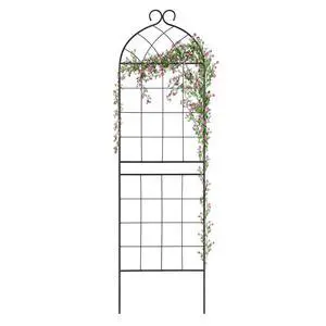 1 Pack Garden Trellis 71" H x 19.7" W for Climbing Plants Support Rustproof Metal Iron Rose Trellis for Vines Flower Cucumbers Plant Stand Black 1 Pack Garden Trellis 71" H x 19.7" W for Climbing Plants Support Rustproof Metal Iron Rose Trellis for Vines Flower Cucumbers Plant Stand Black