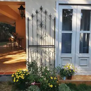 Metal Trellis 86.6" H x 29.5" W Powder-Coated Black Attractive Plant Support Garden Trellis Stylish Garden Addition Lattice Outdoor Yard Décor Roses Vine Ivy Clematis Trellises Black Metal Trellis 86.6" H x 29.5" W Powder-Coated Black Attractive Plant Support Garden Trellis Stylish Garden Addition Lattice Outdoor Yard Décor Roses Vine Ivy Clematis Trellises Black