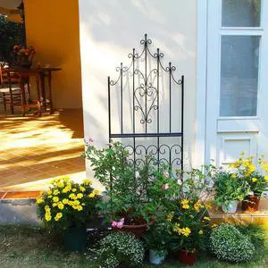 Garden Trellis 59" H x 21.6" W Iron Unique Design Metal Trellis Durable Construction Lattice Outdoor Roses Vine Ivy Clematis Trellises Climbing Plant Support Black Coating Black Garden Trellis 59" H x 21.6" W Iron Unique Design Metal Trellis Durable Construction Lattice Outdoor Roses Vine Ivy Clematis Trellises Climbing Plant Support Black Coating Black