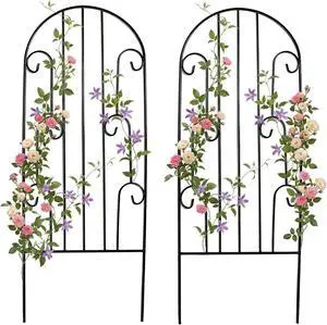 2 Pack Arched Metal Garden Trellis for Climbing Plants 45" H x 15.9" W Rustproof Iron Trellis with Decorative Scrollwork, Perfect for Roses, Clematis, Vines, and Patio Decor 2 Pack Arched Metal Garden Trellis for Climbing Plants 45" H x 15.9" W Rustproof Iron Trellis with Decorative Scrollwork, Perfect for Roses, Clematis, Vines, and Patio Decor