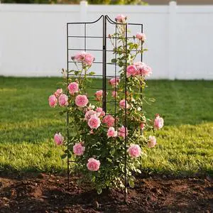 3-Panel Folding Garden Trellis 45.3" H x 9.6" W, Metal Decorative Trellis for Climbing Plants Rust-Resistant Outdoor Trellises for Garden Borders, Pathways, and Vegetables, Black 1 Pack 3-Panel Folding Garden Trellis 45.3" H x 9.6" W, Metal Decorative Trellis for Climbing Plants Rust-Resistant Outdoor Trellises for Garden Borders, Pathways, and Vegetables, Black 1 Pack