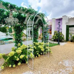 White Wedding Arch Garden Arbor Curved Metal Archway with Elegant Curve for Climbing Plants Roses Vines Garden Lawn Backyard Patio Wedding Outdoor Ceremony White Wedding Arch Garden Arbor Curved Metal Archway with Elegant Curve for Climbing Plants Roses Vines Garden Lawn Backyard Patio Wedding Outdoor Ceremony