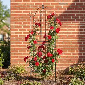 1 Pack Trellis for Climbing Plants Outdoor 59" H x 22" W Rustproof Sturdy Garden Trellis Climbing Plant Support Structure for Climbing Cucumber Tomato Rose Vegetable Flower Plant Trellises 1 Pack Trellis for Climbing Plants Outdoor 59" H x 22" W Rustproof Sturdy Garden Trellis Climbing Plant Support Structure for Climbing Cucumber Tomato Rose Vegetable Flower Plant Trellises