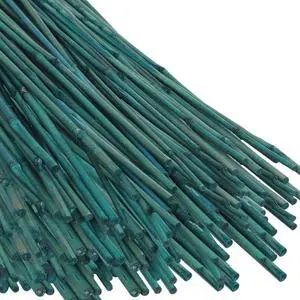 Green Dyed Garden Stakes with Natural Nodes for Fence Construction, Bamboo Sticks Poles with Thick Cane Structure and Basic Moisture Defense for Climbing Plants (5FT 60PCS) Green Dyed Garden Stakes with Natural Nodes for Fence Construction, Bamboo Sticks Poles with Thick Cane Structure and Basic Moisture Defense for Climbing Plants (5FT 60PCS)