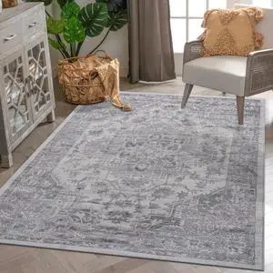 No-Slip Backing Soft Machine Washable Area Rug, 0.35 Inch Pile Height Ultra-Thin Modern Area Rug for Dining Room, Living Room, Bedroom and Office Room (5X7 Silver) No-Slip Backing Soft Machine Washable Area Rug, 0.35 Inch Pile Height Ultra-Thin Modern Area Rug for Dining Room, Living Room, Bedroom and Office Room (5X7 Silver)
