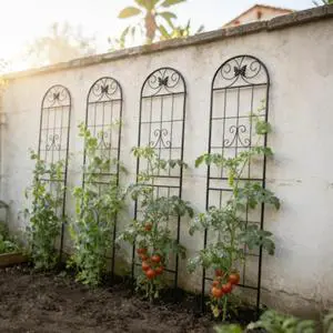 Metal Garden Trellis with Iron Frame and Butterfly Pattern for Growing Flowers, Plants, Outdoor Rustproof Trellis with Metal Galvanized Tube for Backyard, Lawn, Park (4 Pack-H86'') Metal Garden Trellis with Iron Frame and Butterfly Pattern for Growing Flowers, Plants, Outdoor Rustproof Trellis with Metal Galvanized Tube for Backyard, Lawn, Park (4 Pack-H86'')