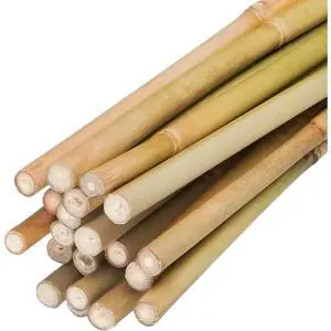 Durable Garden Stake with Upright Support for Tall Flowers and Vines, Natural Bamboo Plant Bracket with Soil-Stabilizing Design for Indoor and Outdoor Landscaping (5FT 50PCS) Durable Garden Stake with Upright Support for Tall Flowers and Vines, Natural Bamboo Plant Bracket with Soil-Stabilizing Design for Indoor and Outdoor Landscaping (5FT 50PCS)