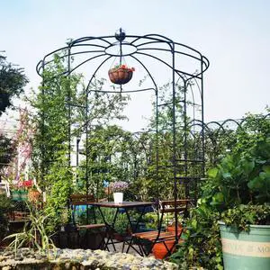 Spacious Metal Garden Arch with Birdcage Shape for Wedding, Ceremony, Party, Outdoor Pergola Pavilion with Ground Stakes and Iron Frame for Backyard, Lawn, Poolside (Black) Spacious Metal Garden Arch with Birdcage Shape for Wedding, Ceremony, Party, Outdoor Pergola Pavilion with Ground Stakes and Iron Frame for Backyard, Lawn, Poolside (Black)