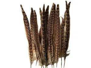 24 Natural Pheasant Feather Cat Toys, Wooden Handle Interactive Pet Teasers, Fun Exercise and Play Tools for Cats Inside 24 Natural Pheasant Feather Cat Toys, Wooden Handle Interactive Pet Teasers, Fun Exercise and Play Tools for Cats Inside