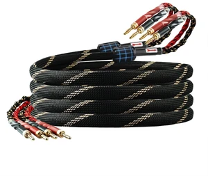YYTCG 10 AWG 2Pack Speaker Cable with Banana Plugs for Audiophile 6.56ft/2m | 99.99% OFC Core, 24K Gold-Plated Plugs, Ferrite Cores, Speaker Wire with Connectors for Amplifiers, HiFi Home Theater YYTCG 10 AWG 2Pack Speaker Cable with Banana Plugs for Audiophile 6.56ft/2m | 99.99% OFC Core, 24K Gold-Plated Plugs, Ferrite Cores, Speaker Wire with Connectors for Amplifiers, HiFi Home Theater