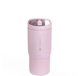 Sport 14 oz Insulated Kids Water Bottle with Straw, Sweet Pea Sport 14 oz Insulated Kids Water Bottle with Straw, Sweet Pea