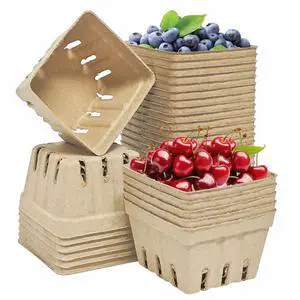 30 Pcs Natural Pulp Fiber Berry Basket Small Vented Berry Picking Basket Small Container Holder for Fruits Vegetable Farmer Market Grocery (30) 30 Pcs Natural Pulp Fiber Berry Basket Small Vented Berry Picking Basket Small Container Holder for Fruits Vegetable Farmer Market Grocery (30)