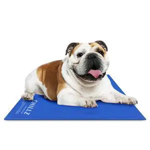 The Green Pet Shop Chillz Gel Mat, Large - Pressure-Activated Cooling Pad for Pets 25-50 lbs - Non-Toxic, No Water or Refrigeration Needed - Ideal for Home, Travel & Crates The Green Pet Shop Chillz Gel Mat, Large - Pressure-Activated Cooling Pad for Pets 25-50 lbs - Non-Toxic, No Water or Refrigeration Needed - Ideal for Home, Travel & Crates
