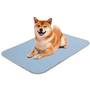 Buvlnee Summer Dog Cooling Mat, Washable Ice Silk Self Cool Pad for Small Medium Large Dogs and Cats, 24x18in Pet Sleeping Pad for Crate, Bed, Indoor & Outdoor Floor, Car Seats Buvlnee Summer Dog Cooling Mat, Washable Ice Silk Self Cool Pad for Small Medium Large Dogs and Cats, 24x18in Pet Sleeping Pad for Crate, Bed, Indoor & Outdoor Floor, Car Seats