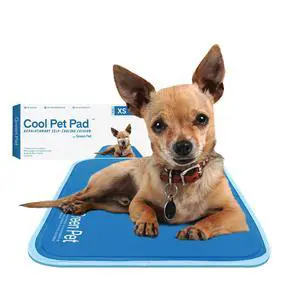 The Green Pet Shop Cool Pet Pad - Extra Small, Blue - Self-Cooling, Pressure Activated Mat for Dogs & Cats from 0-8 lbs - Non-Toxic Gel, No Water Needed The Green Pet Shop Cool Pet Pad - Extra Small, Blue - Self-Cooling, Pressure Activated Mat for Dogs & Cats from 0-8 lbs - Non-Toxic Gel, No Water Needed