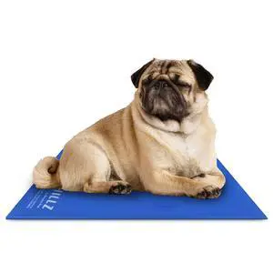The Green Pet Shop Chillz Gel Mat, Medium - Pressure-Activated Cooling Pad for Pets 0-25 lbs - Non-Toxic, No Water or Refrigeration Needed - Ideal for Home, Travel & Crates The Green Pet Shop Chillz Gel Mat, Medium - Pressure-Activated Cooling Pad for Pets 0-25 lbs - Non-Toxic, No Water or Refrigeration Needed - Ideal for Home, Travel & Crates