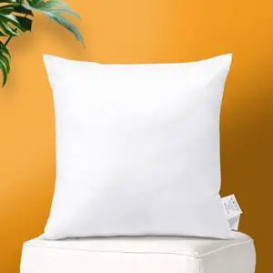OTOSTAR Throw Pillow Insert 20 x 20 Inch Premium Fluffy Pillow Stuffer Decorative Square Pillow Insert with Zips Cushion Inner Decorative Cushion for Sofa Bed Couch Stuffer Pillow (1 Pack, 20''x20'') OTOSTAR Throw Pillow Insert 20 x 20 Inch Premium Fluffy Pillow Stuffer Decorative Square Pillow Insert with Zips Cushion Inner Decorative Cushion for Sofa Bed Couch Stuffer Pillow (1 Pack, 20''x20'')