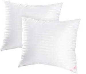 EIUE Throw Pillow Inserts, Machine Washable Pillows,Premium Polyester Fiber Fill for Sofa Bed & Decorative Cushions (White, 18x18inch) EIUE Throw Pillow Inserts, Machine Washable Pillows,Premium Polyester Fiber Fill for Sofa Bed & Decorative Cushions (White, 18x18inch)