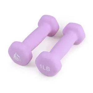 LIONSCOOL Neoprene Coated Dumbbell Weights (Lavender 1lb Pair) LIONSCOOL Neoprene Coated Dumbbell Weights (Lavender 1lb Pair)