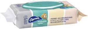 Charmin Flushable Wipes, 40 count per pack Charmin Flushable Wipes, 40 count per pack