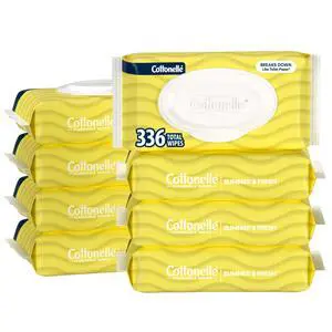 Summer Fresh Scented Flushable Wipes, 8 Packs, 42 Wipes per Pack Summer Fresh Scented Flushable Wipes, 8 Packs, 42 Wipes per Pack