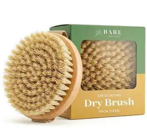 Dry Body Brush for Lymphatic Drainage - Improve Circulation w/Gentle Exfoliation for Soft Skin - Ergonomically Designed w/Elastic Strap - Soft but Firm Natural Boar Bristles Dry Body Brush for Lymphatic Drainage - Improve Circulation w/Gentle Exfoliation for Soft Skin - Ergonomically Designed w/Elastic Strap - Soft but Firm Natural Boar Bristles