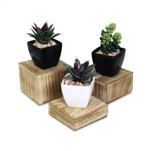 3-Piece Wooden Square Risers for Display Jewelry and Accessories Stand, Wood Display Stand, Oak Color 3-Piece Wooden Square Risers for Display Jewelry and Accessories Stand, Wood Display Stand, Oak Color