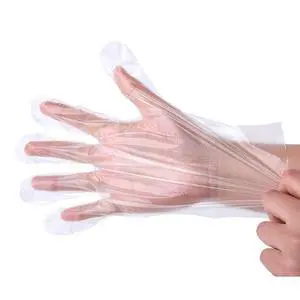 500 PCS Clear Disposable Food Service Gloves, Free Size 500 PCS Clear Disposable Food Service Gloves, Free Size