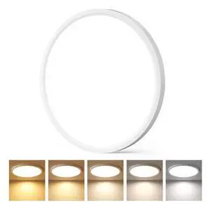 1 Pack 12 Inch LED Flush Mount Ceiling Light, 5CCT Color Selectable, Flat & Super Slim Dimmable Round Light Fixture, 2400LM Bright Low Profile Ceiling Lamps for Bedroom Kitchen Hallway, ETL/FCC 1 Pack 12 Inch LED Flush Mount Ceiling Light, 5CCT Color Selectable, Flat & Super Slim Dimmable Round Light Fixture, 2400LM Bright Low Profile Ceiling Lamps for Bedroom Kitchen Hallway, ETL/FCC