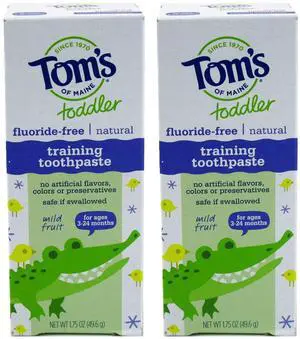 Flouride Free Children's Toothpaste, Mild Fruit Flavor - 1.75 oz - 2 pk Flouride Free Children's Toothpaste, Mild Fruit Flavor - 1.75 oz - 2 pk