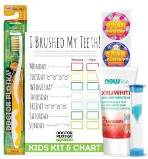 Childrens Dental Care Kit: Toothbrush for Kids, 3 oz Strawberry Fluoride Free Toothpaste, Dry Erase Checkboard, Timer, Stickers, Manual Flossing Toothbrushes Gift Set, by Dr. Plotka's Childrens Dental Care Kit: Toothbrush for Kids, 3 oz Strawberry Fluoride Free Toothpaste, Dry Erase Checkboard, Timer, Stickers, Manual Flossing Toothbrushes Gift Set, by Dr. Plotka's