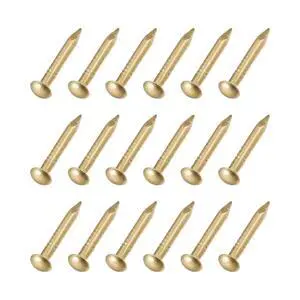 Small Nails (2x15mm) 50pcs, Brass Tiny Hardware Nails - for Household Woodworking, Brass Tone Small Nails (2x15mm) 50pcs, Brass Tiny Hardware Nails - for Household Woodworking, Brass Tone