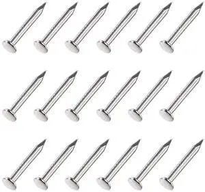 Small Nails (1.2x8mm) 500pcs, Carbon Steel Tiny Hardware Nails - for Household Woodworking, Silver Tone Small Nails (1.2x8mm) 500pcs, Carbon Steel Tiny Hardware Nails - for Household Woodworking, Silver Tone