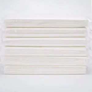 Car Tissue Refills,Facial Napkin Refills for Car Visor tissue holder,300 Sheets, 6 Packs (6 Pack) Car Tissue Refills,Facial Napkin Refills for Car Visor tissue holder,300 Sheets, 6 Packs (6 Pack)